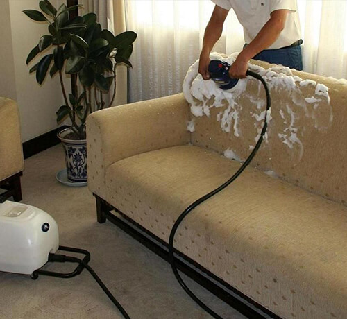 Pest Control Company In Abu Dhabi | Carpet Cleaning Abu Dhabi