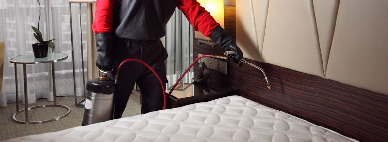 Bed Bugs Control Services in Abu Dhabi