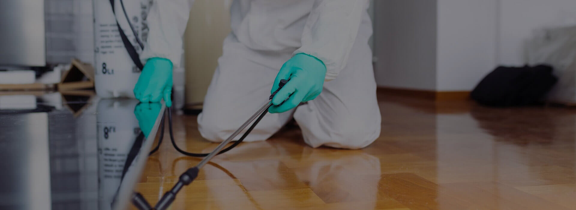 Pest Control Company In Abu Dhabi | Star Way Pest Control